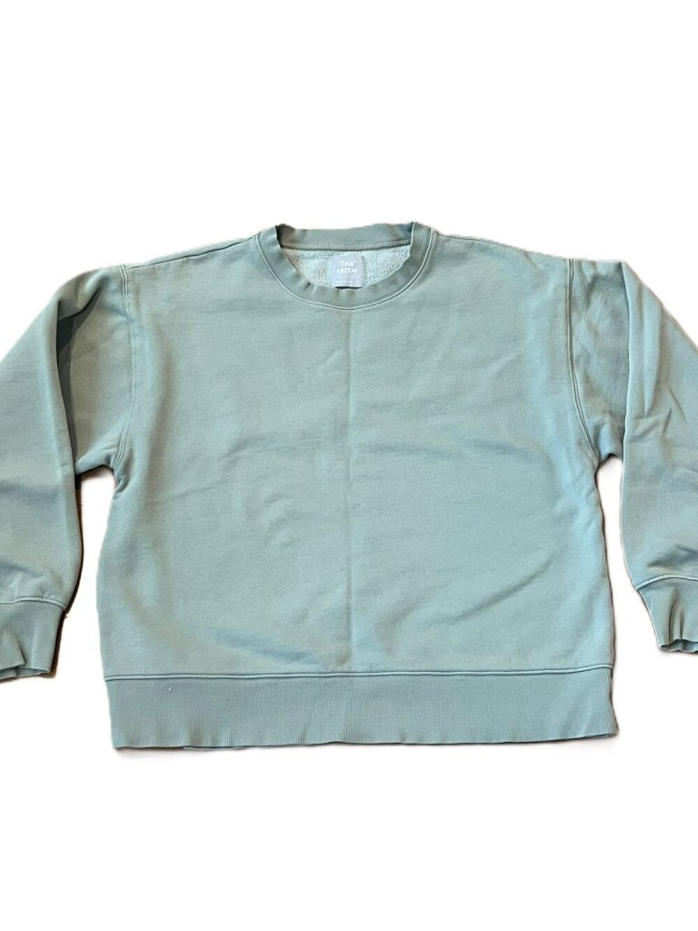 Aritzia TNA Cozy AF Fleece Sweatshirt Crewneck Pastel Green Size 2 Fits Medium